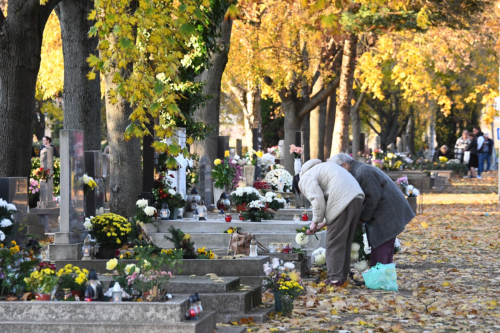 Mindenszetek - ökumenikus megemlékezés a Béla úti temetőben